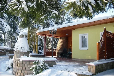 Vintage-Ferienhaus mit Terrasse in Trieb