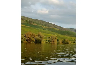 Goldrausch-Raum || Bernkastel-Kues