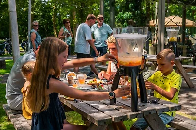 Luxuriöse Dünenvilla in einem Ferienpark