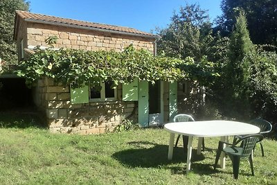 Incantevole casa in pietra con piscina comune