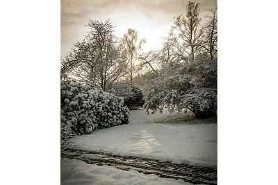 2 in de Weidenhäusermolen