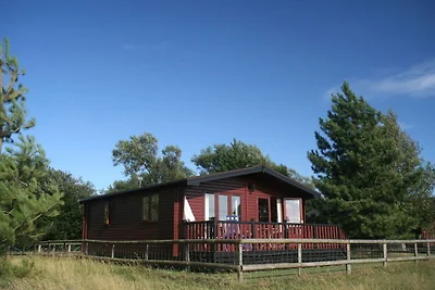 Spazioso cottage a Romney Marsh con sauna