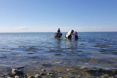 2 Personen vakantie huis in Nexø