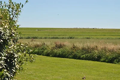 Ruhiges Ferienhaus in Texel mit Terrasse