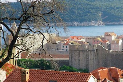 Gemütliches Appartement in Dubrovnik mit...