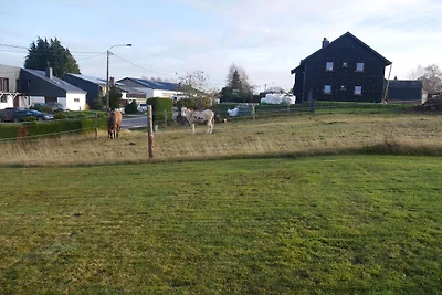 Sehr schönes Wohnung in Lierneux