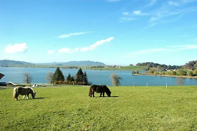 Agriturismo sul lago