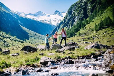 Exklusives Apartment nahe Mittersill