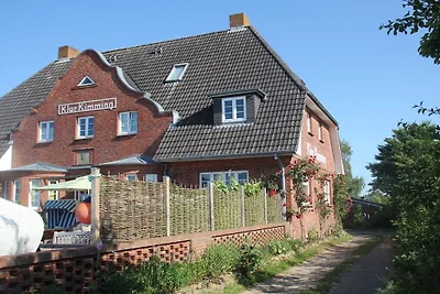Ferienwohnung in Nebel mit Schwimmbecken