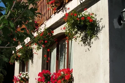 3-Zimmer-Wohnung für 6 Personen, Südlage