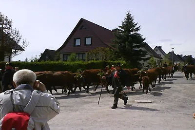 Oberharz am Brocken, OT Stiege