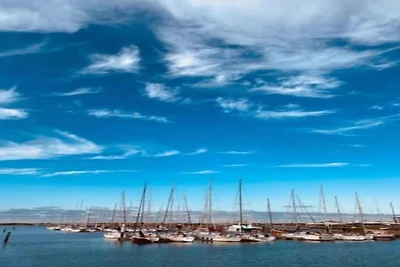 Wohnung in Nieuwpoort am Strand