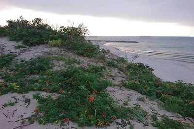 20 Personen Ferienhaus in Frederiksværk
