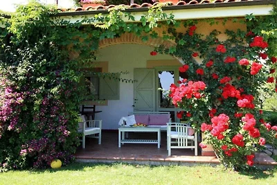 Oleandro - Vigna Luisa Resort