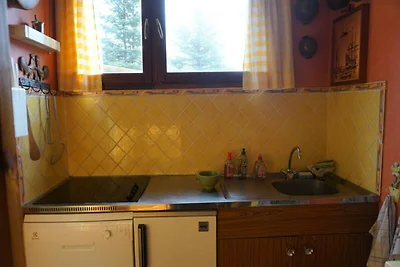 Appartamento nella valle vicino agli impianti...