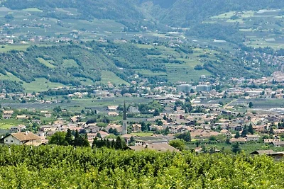 Verso sud sul Plaserhof