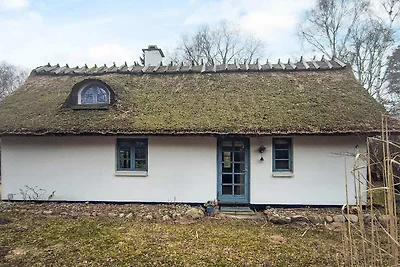 9 Personen Ferienhaus in Frederiksværk