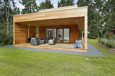 Modernes Ferienhaus mit Holzofen bei Almelo