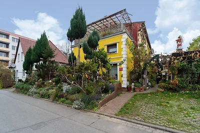 Appartamento per vacanze con giardino a...