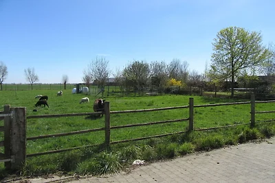 Moderne Villa in Diksmuide mit Sauna