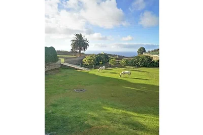 Finca Palmeras 2