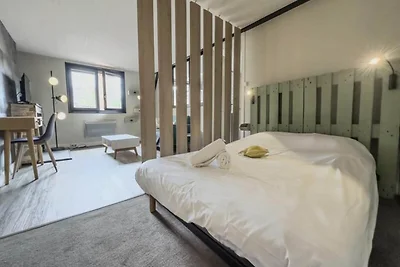 Appartamento nel centro storico Grenoble