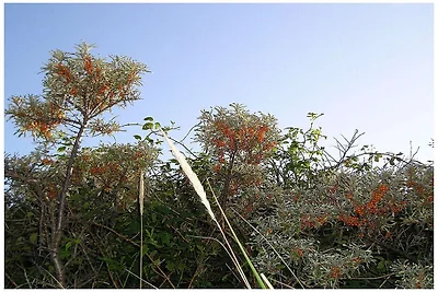 Alte Druckerei Ferienwohnung Bodoni