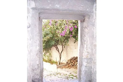 Attico Al Castello