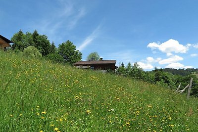 Appartamento per vacanze a Wildschönau-Nieder...