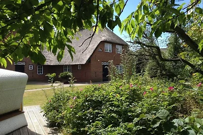 Schroeder's Haus  Kampen  Haus 1B