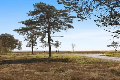 8 persoons vakantie huis in Læsø