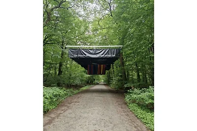 Perspectivas inciertas