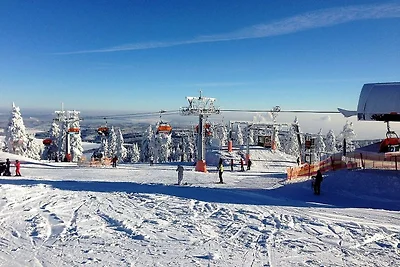 Geräumiges Appartement nahe Skigebiet in...