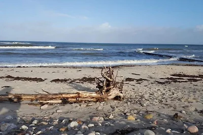 Haus mit Chromecast in Strandnähe