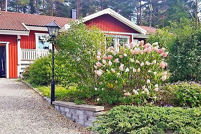 6 persoons vakantie huis in VäTö