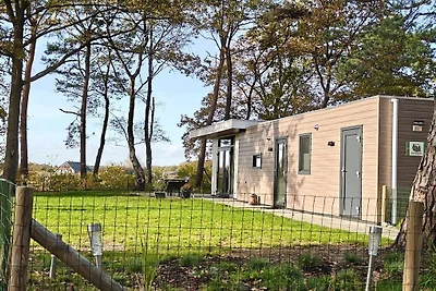 Ferienhaus in RW Haarle mit Barbecue