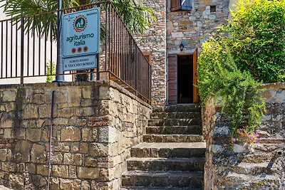 Holiday home Nord in Castellarano