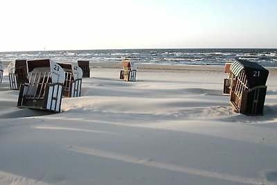 Ferienhaus Erholungsurlaub Ahlbeck