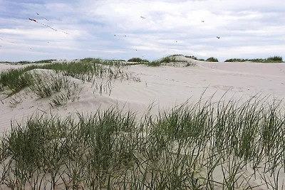 4 Personen Ferienhaus in Fanø-By Traum