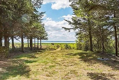 4 Personen Ferienhaus in Hurup Thy-By Traum