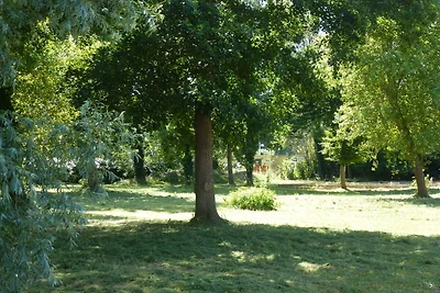 Geräumiges Ferienhaus mit Garten in...