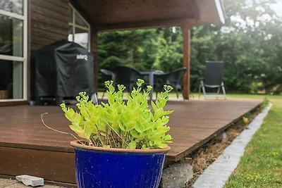 6 persone case ad Løgstør