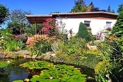 Ferienhaus "Am Questenberg"