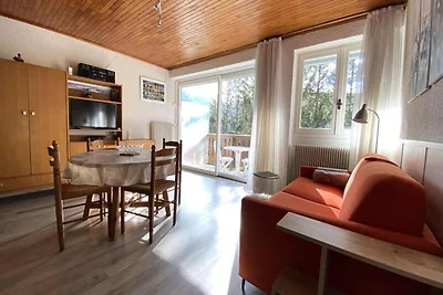 Wohnung in Les 2 Alpes nahe Diable Lift