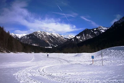 Alpenflair Ferienwohnung 215