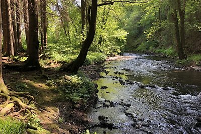 Ardennenvilla mit Garten am Fluss und...