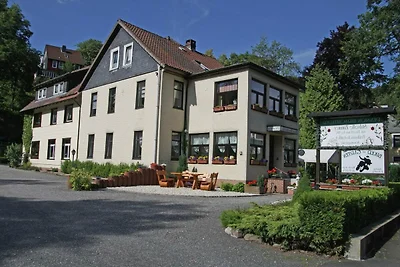 Gemütliche Ferienwohnung im Harz