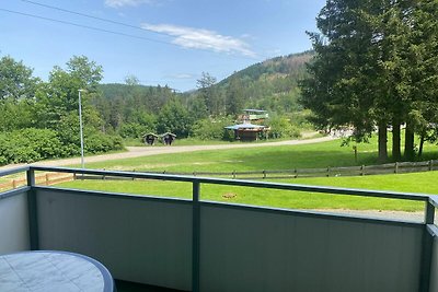 Ferienwohnung in perfekter Lage, Hahnenklee