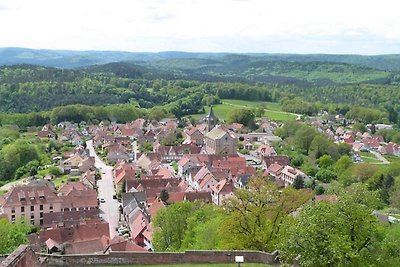 Gemütliches, geräumiges Ferienhaus, Nordvoges...