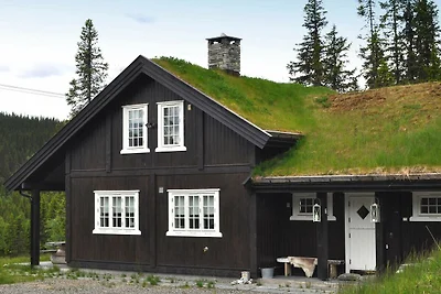 14 Personen Ferienhaus in Fåvang